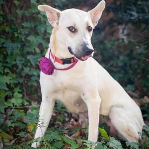 Meet your Posher, Dylan